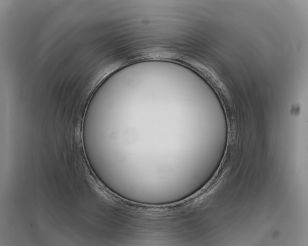 X0000097470889200802220827