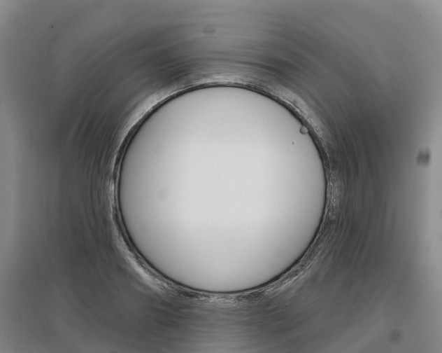 X0000097470890200802220827