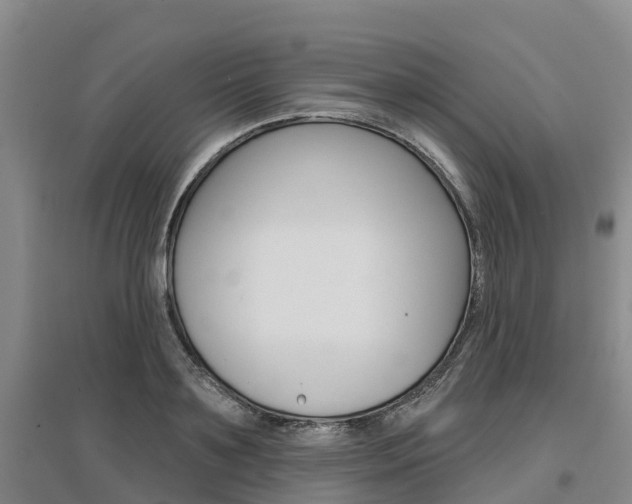 X0000097470891200802220827