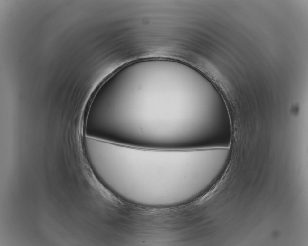 X0000097470892200802220827