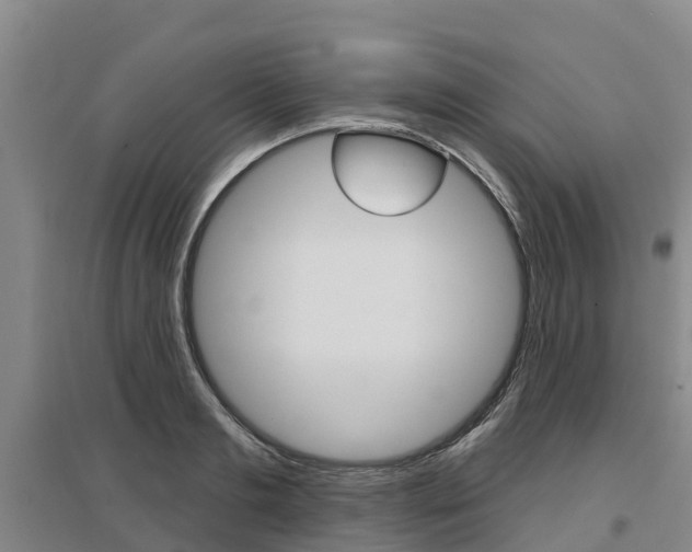 X0000097470893200802220827