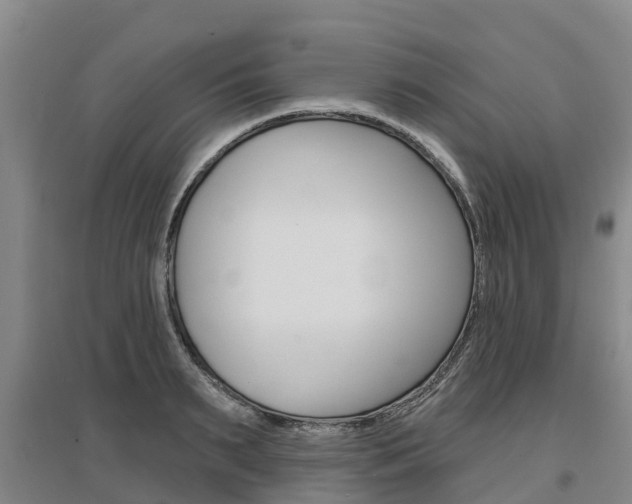 X0000097470895200802220827