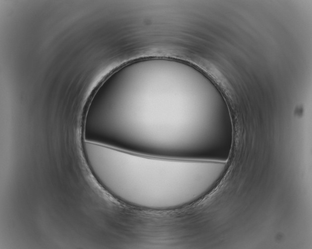 X0000097470896200802220826
