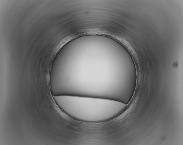 X0000097470897200802220826