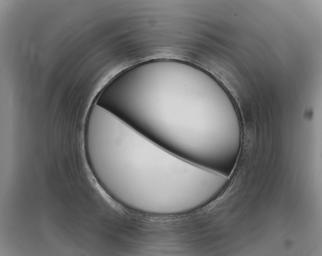 X0000097470898200802220826