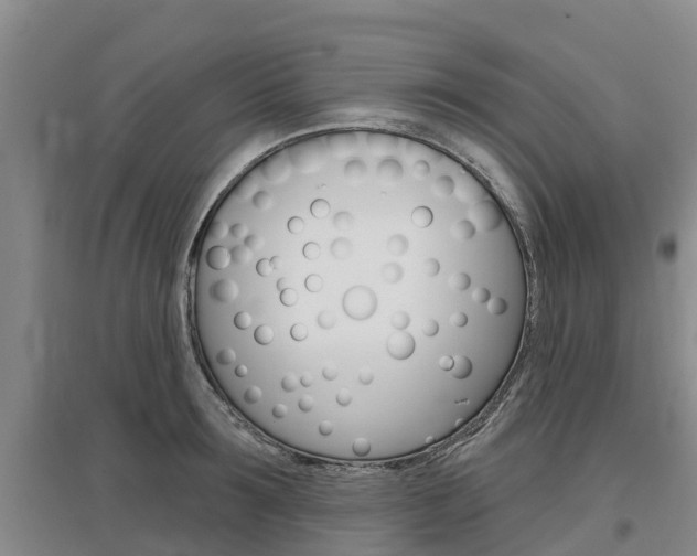 X0000097470899200802220826