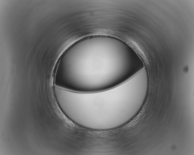 X0000097470900200802220826