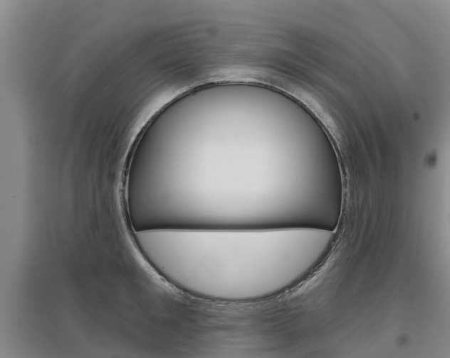X0000097470901200802220826