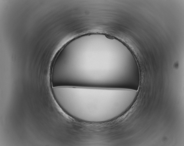 X0000097470902200802220826