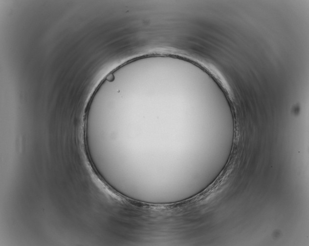 X0000097470903200802220826
