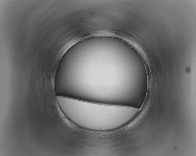 X0000097470905200802220826