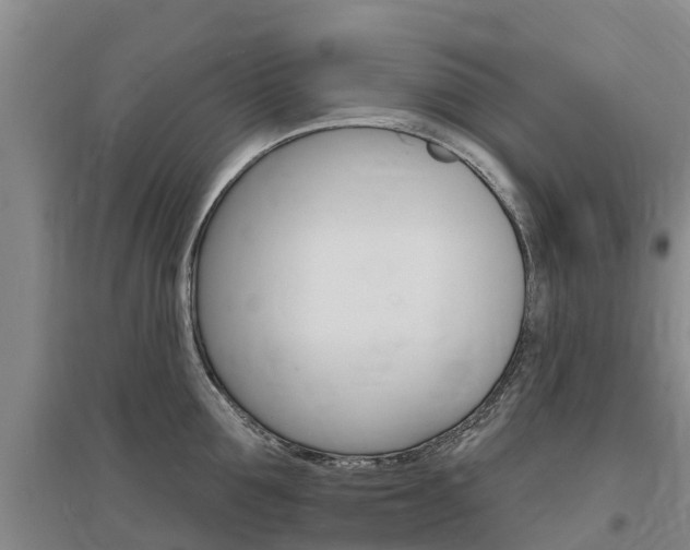 X0000097470907200802220826