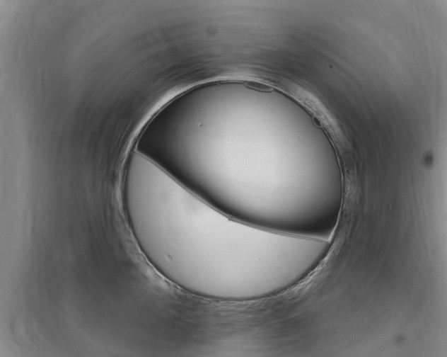 X0000097470908200802220826