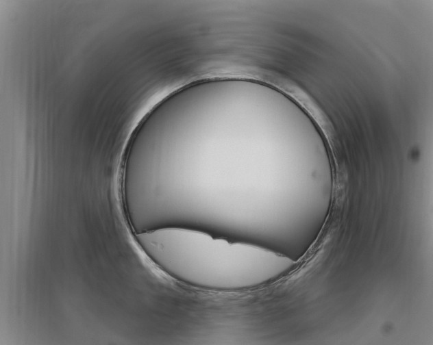 X0000097470909200802220826