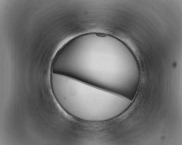 X0000097470910200802220826