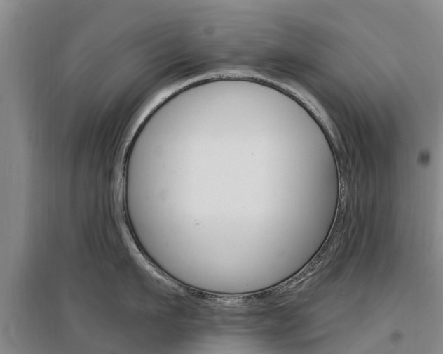 X0000097470911200802220826