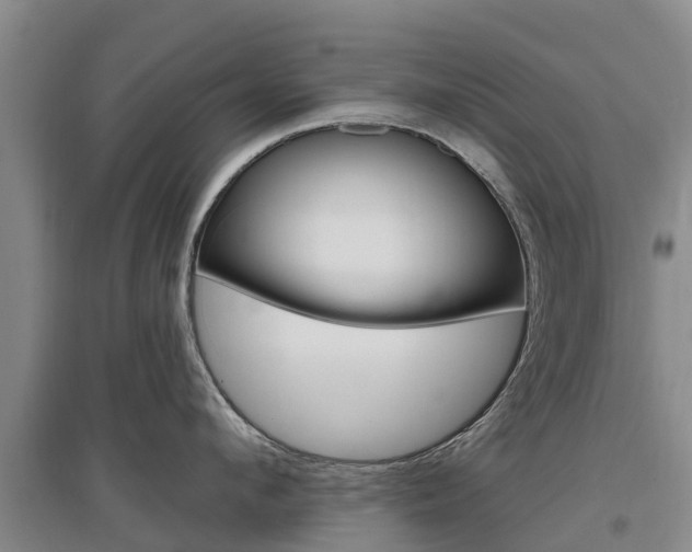 X0000097470912200802220826