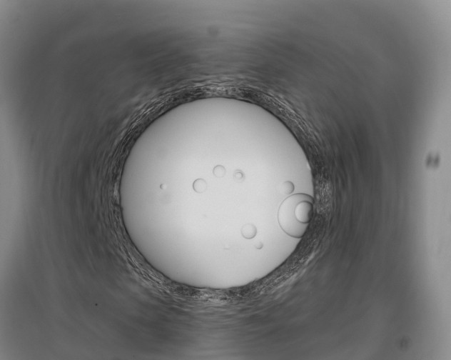 X0000097470913200802220825