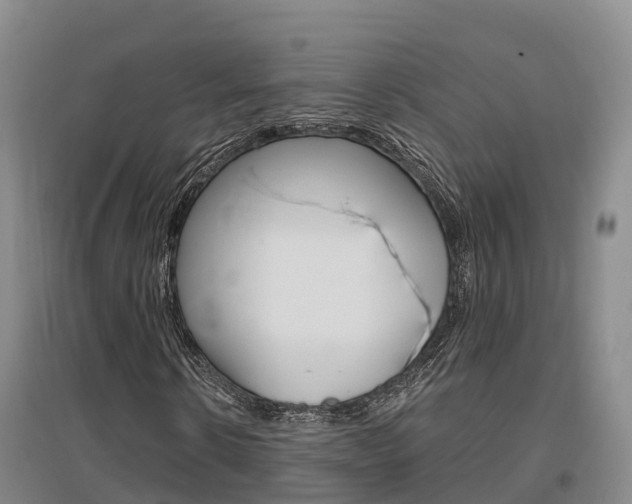 X0000097470914200802220825