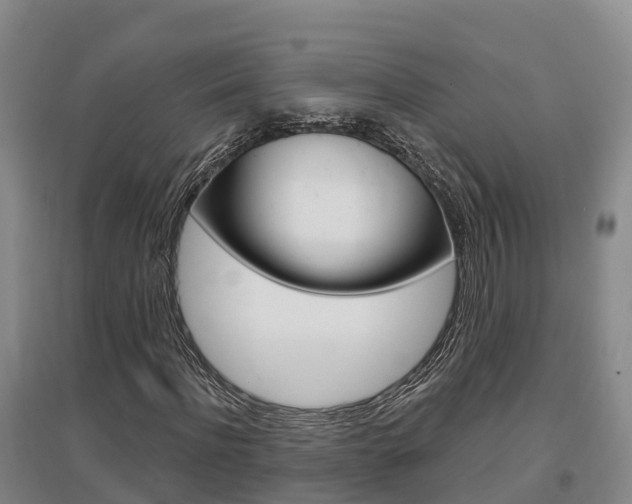 X0000097470916200802220825