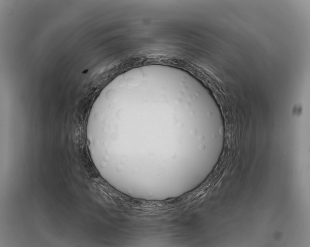 X0000097470917200802220825
