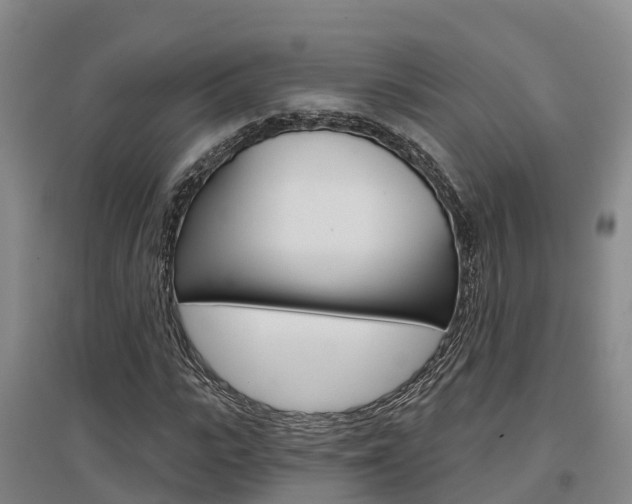X0000097470919200802220826