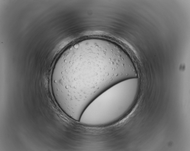 X0000097470921200802220826