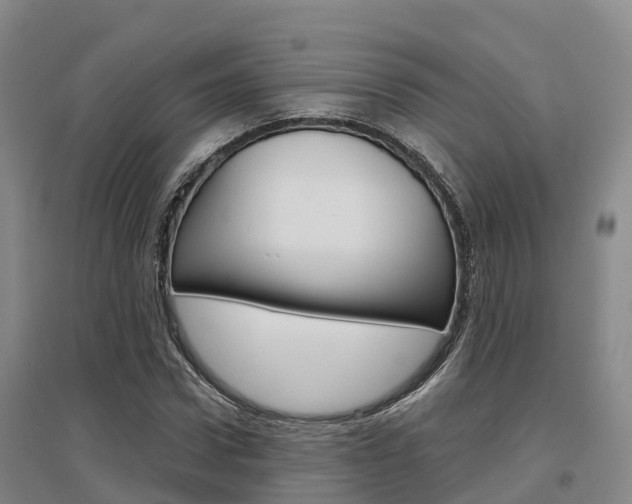 X0000097470922200802220826