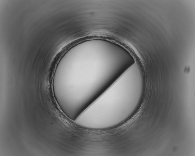 X0000097470923200802220826