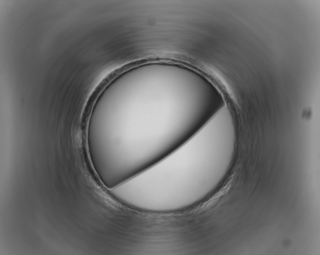 X0000097470924200802220826