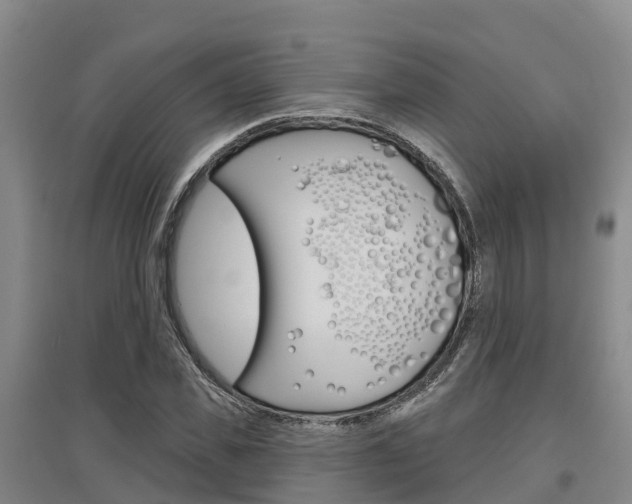 X0000097470925200802220826