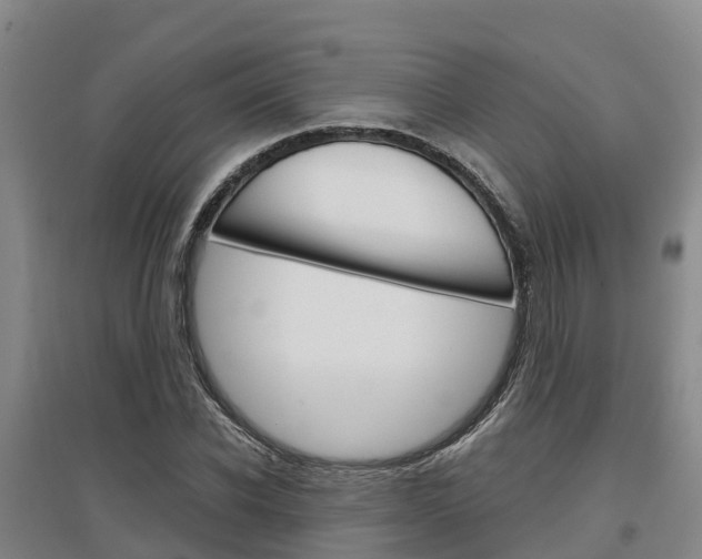 X0000097470926200802220826