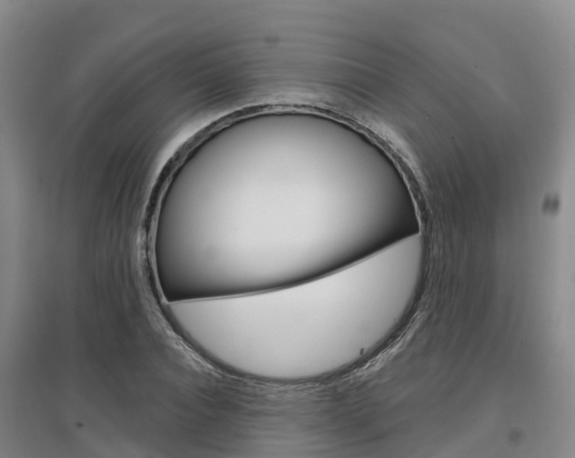 X0000097470928200802220826