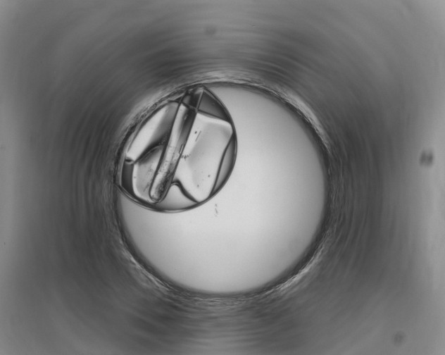 X0000097470930200802220826