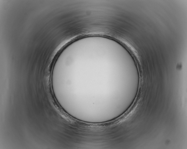 X0000097470933200802220826