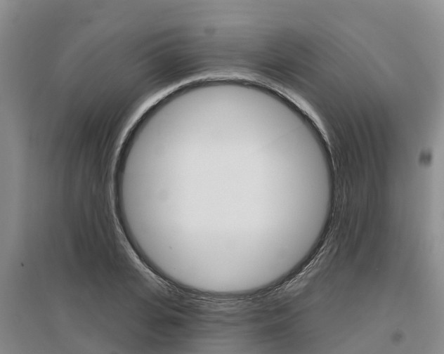 X0000097470935200802220826