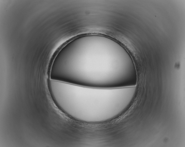 X0000097470936200802220826