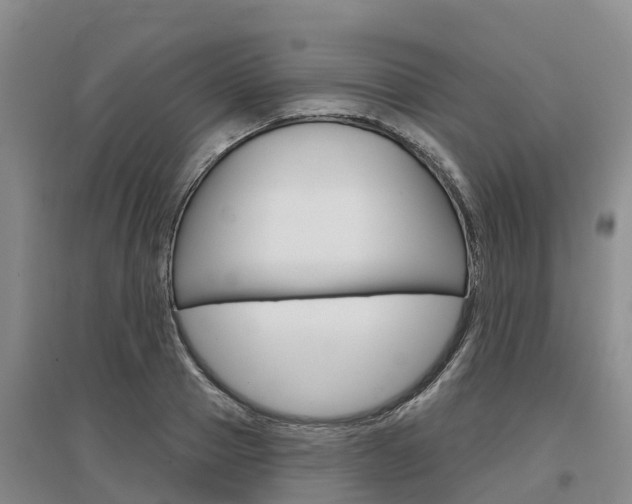 X0000097470937200802220826