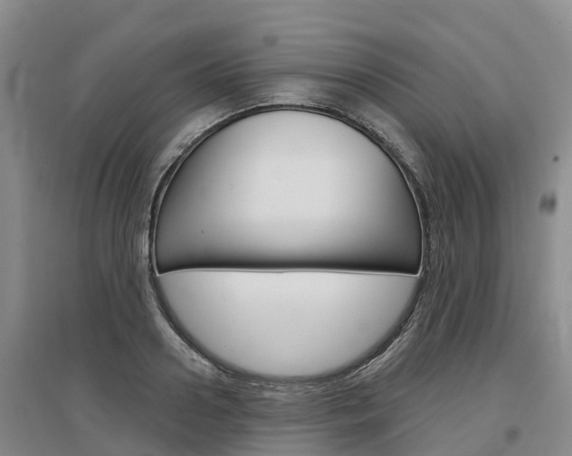 X0000097470938200802220826