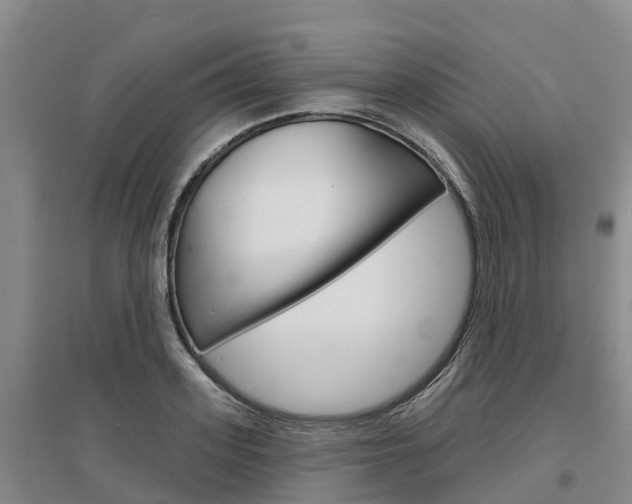 X0000097470939200802220826