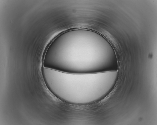 X0000097470940200802220826