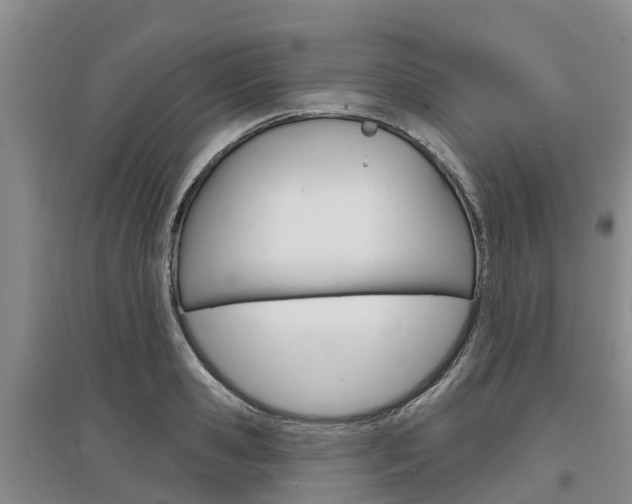X0000097470941200802220826