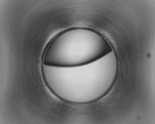 X0000097470942200802220826