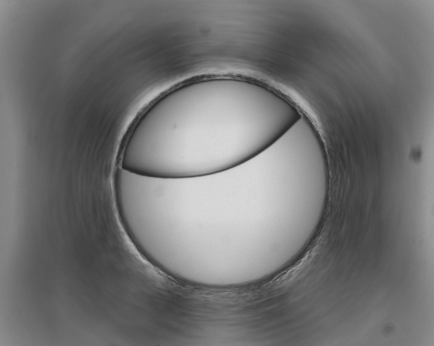 X0000097470943200802220826