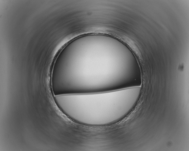 X0000097470944200802220826