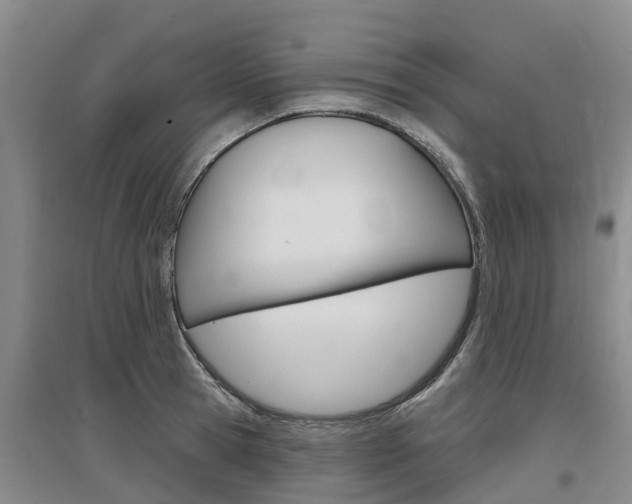 X0000097470945200802220826