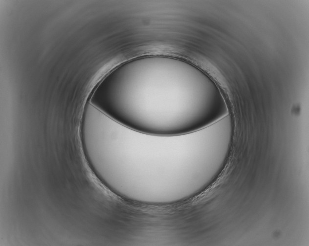 X0000097470946200802220826