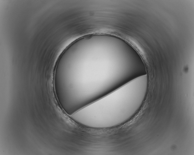 X0000097470948200802220826