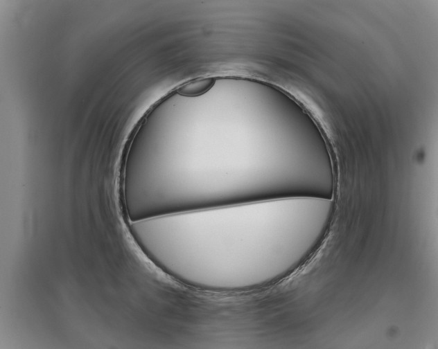 X0000097470949200802220826