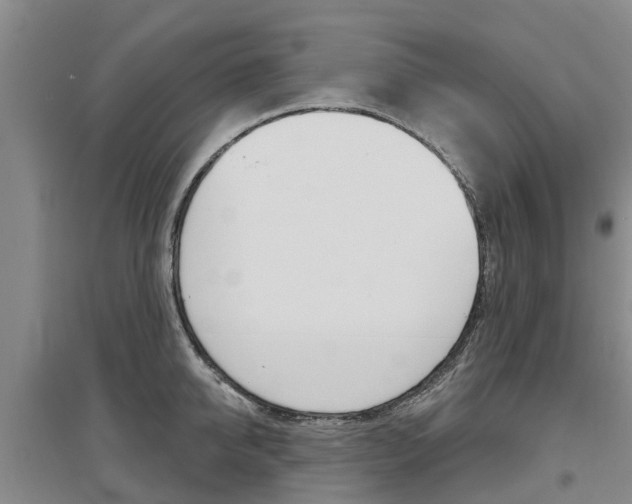 X0000097470950200802220826